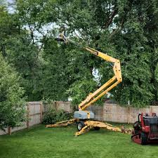 Best Aeration Services  in Annandale, VA